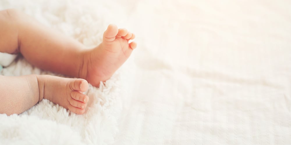 get pregnant zoi fertility