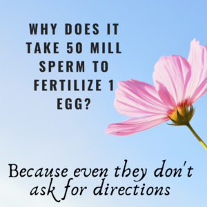 why it takes 50 million to get pregnant. zoifertility