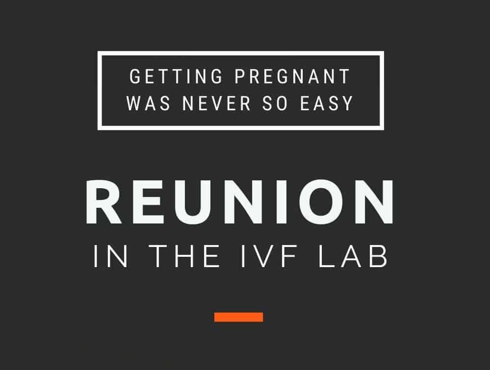 reunion of gametes in the lab, is getting pregnant