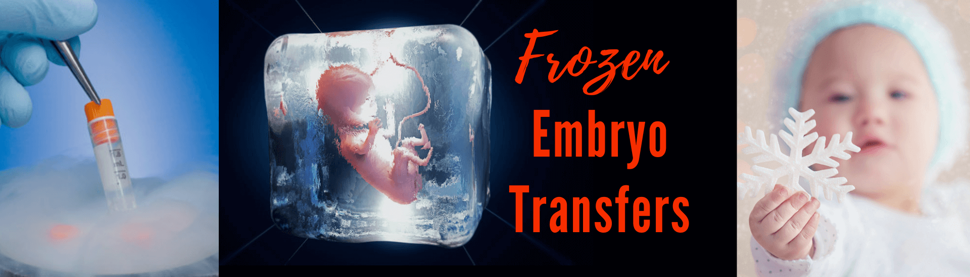 FET is frozen embryo transfers at zoi fertility